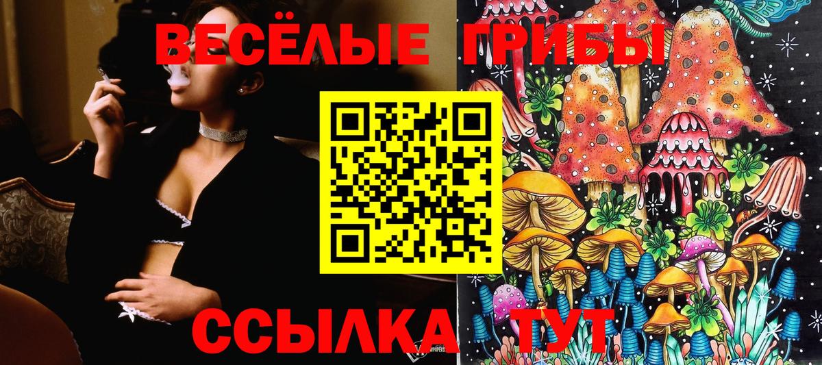 Галлюциногенные грибы мухоморы Канаш